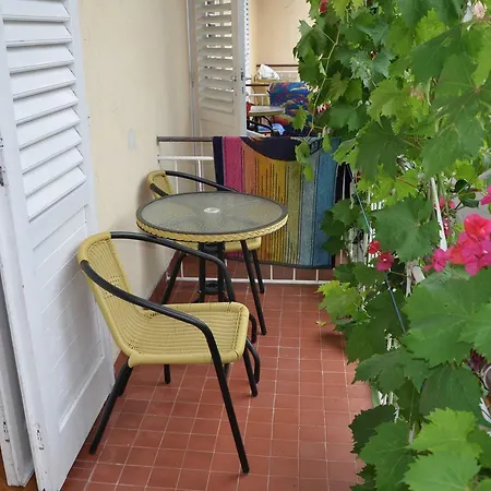Studio In 33596